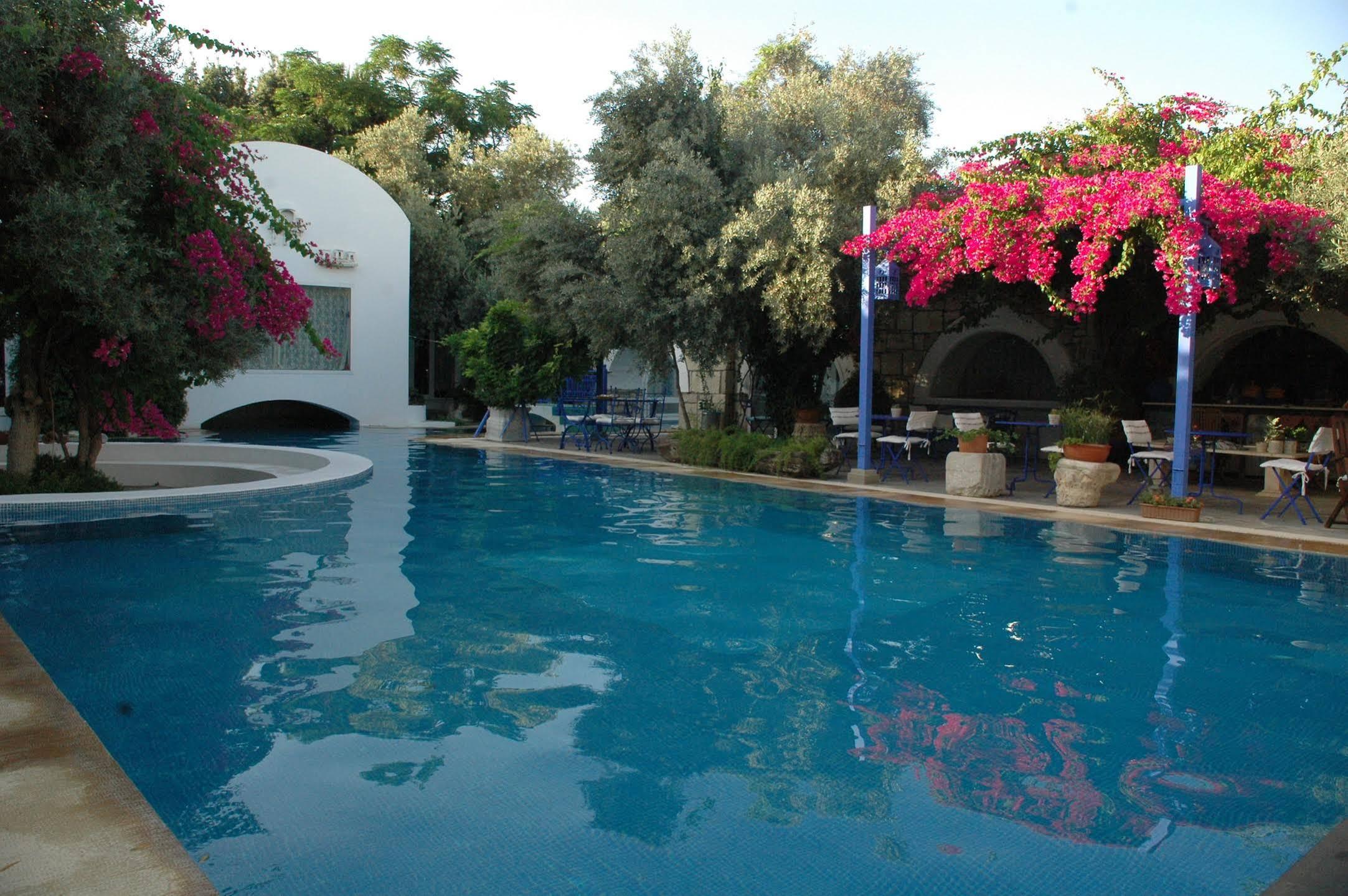 Villa Oliva Butik Hotel Konacik Exterior foto